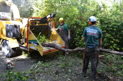 tree services La Fayette